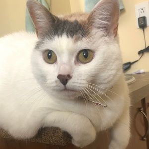 Meet your Posher, Stephany